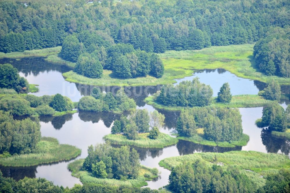 Quolsdorf aus der Vogelperspektive: Blick auf Seelandschaft im Schemsteich in Quolsdorf im Bundesland Sachsen