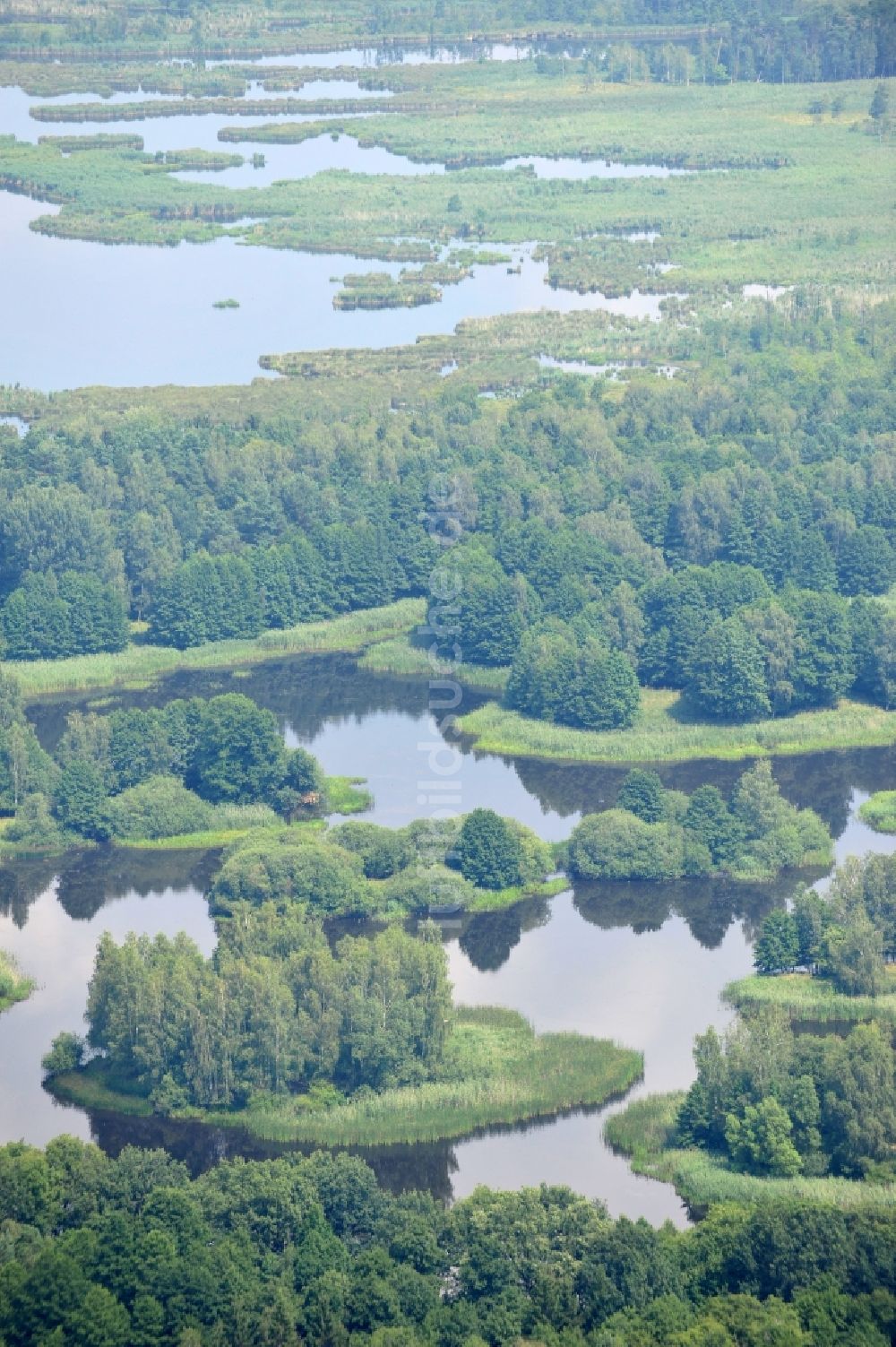 Luftbild Quolsdorf - Blick auf Seelandschaft im Schemsteich in Quolsdorf im Bundesland Sachsen