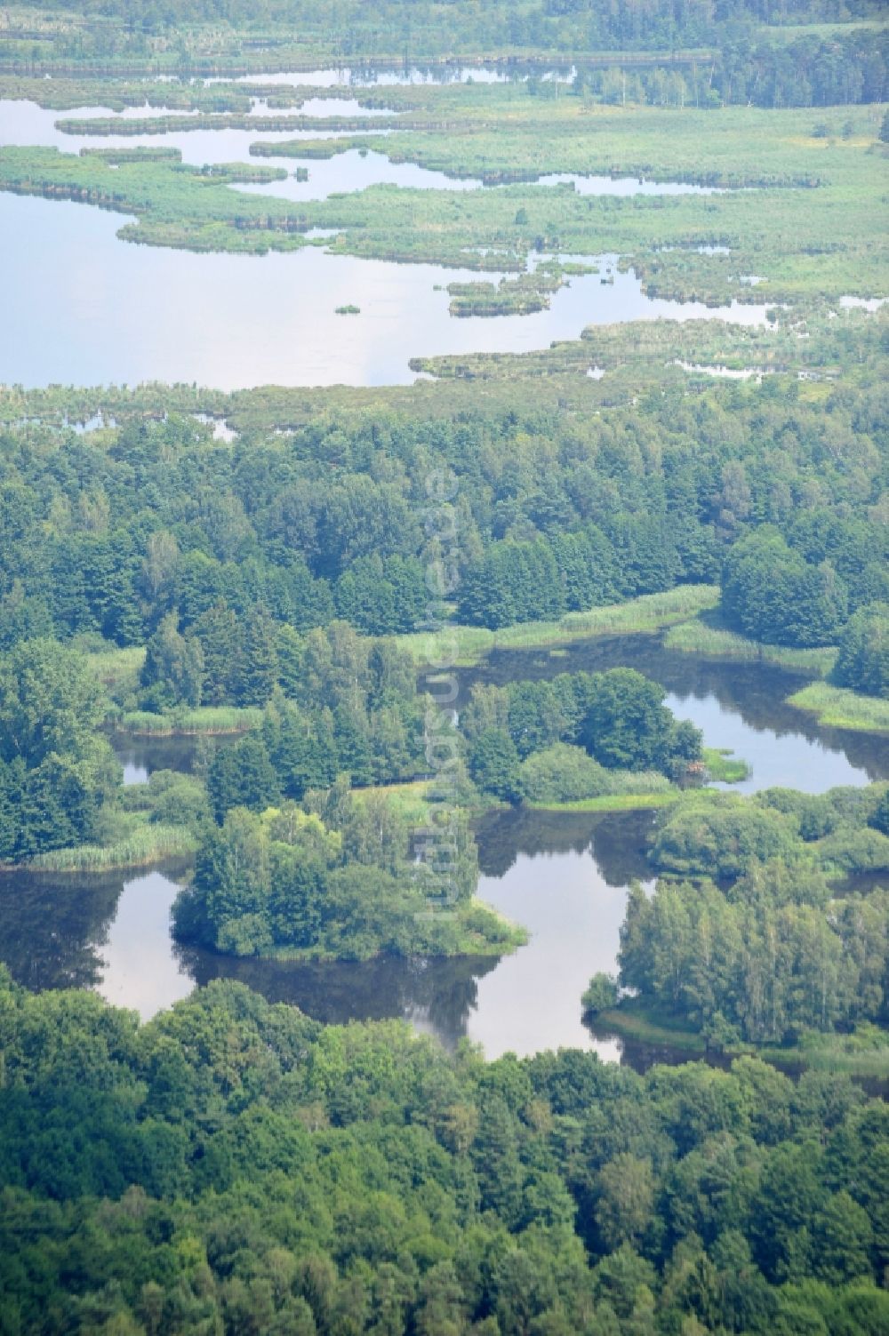 Luftaufnahme Quolsdorf - Blick auf Seelandschaft im Schemsteich in Quolsdorf im Bundesland Sachsen