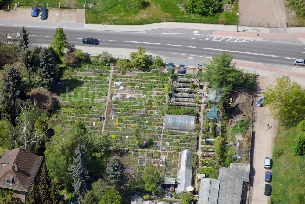 Luftbild Dresden - Blick auf Staudengärtnerei Jentsch in der Rayskiestrasse 1-5 in Dresden