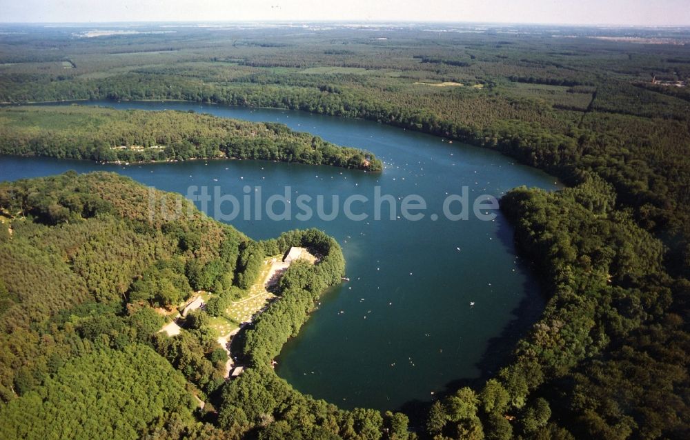 Wandlitz von oben - Blick auf das Strandbad/Waldbad am Liepnitzsee in Wandlitz im Bundesland Brandenburg