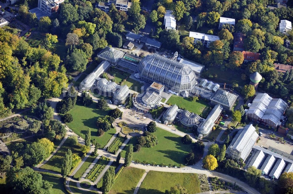 Berlin von oben - Blick auf das Tropenhaus im Botanischen Garten im Bezirk Steglitz-Zehlendorf Berlin