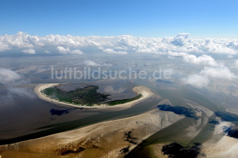 Luftaufnahme Friedrichskoog - Blick auf die unter Naturschutz stehende Insel Trischen mit Wattenmeer in der Nordsee im Bundesland Schleswig-Holstein