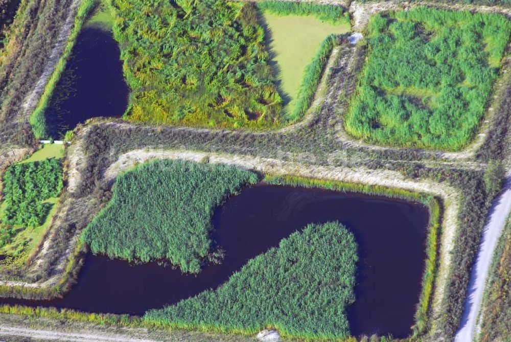 Luftaufnahme Berlin Buch - Blick auf verschiedene Biotope nordwestlich von Berlin-Buch in Richtung Schönwalde