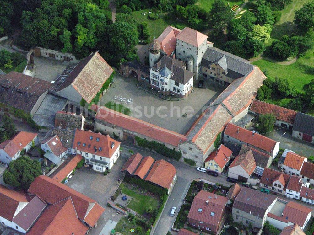 Wachenheim / Rheinland-Pfalz von oben - Blick auf Wachenheim mit Gutshof Wachenheim