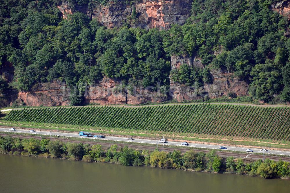 Luftaufnahme Trier - Blick auf Weinanbau in einer Steilhanglage am Ufer der Mosel in Trier