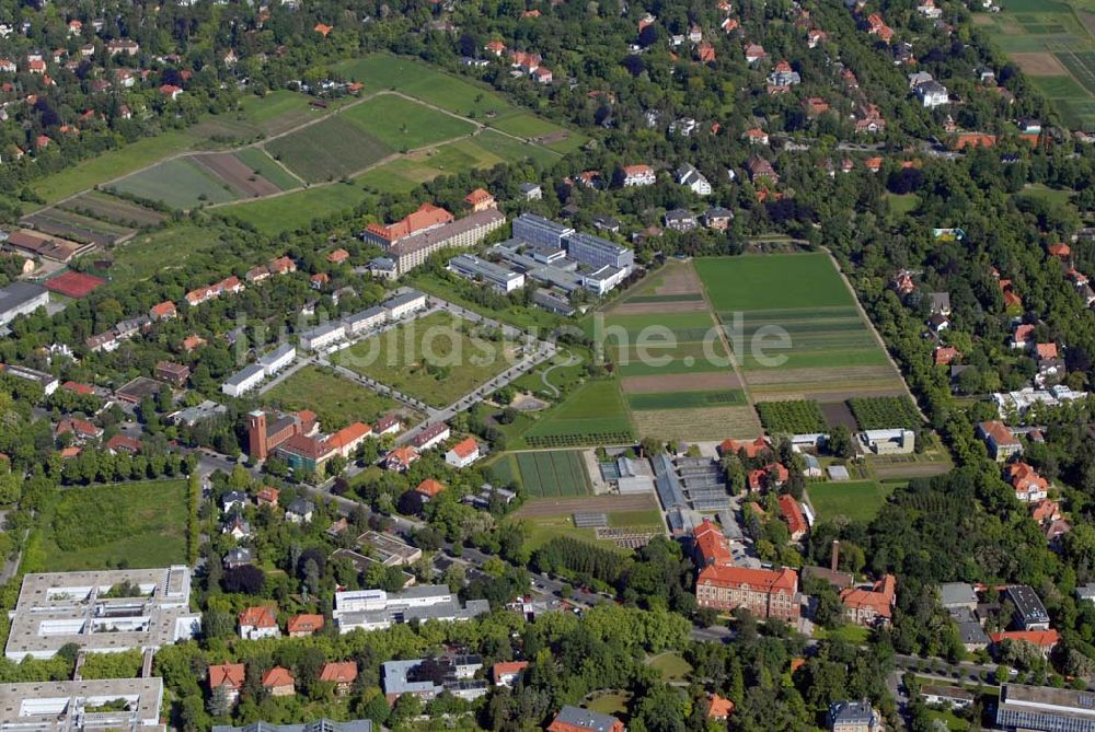 Berlin-Dahlem von oben - Blick auf die Wohnanlage an der Königin-Luise-Strasse in Berlin Dahlem der cds Wohnbau Berlin GmbH