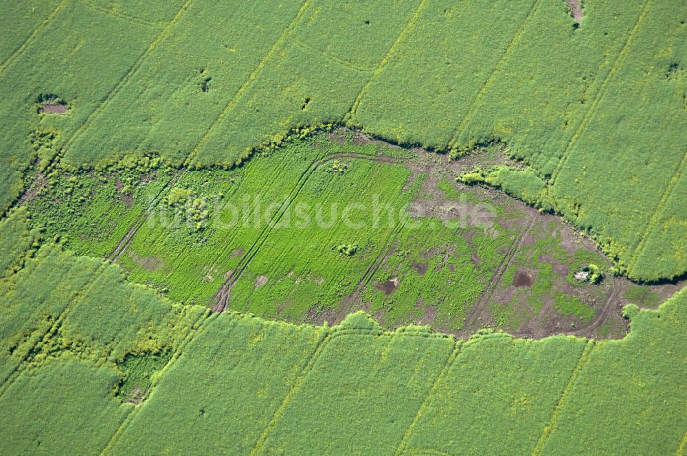 Luftaufnahme Coswig ( Anhalt ) OT Düben - Bodenerosion auf Feldlandschaft in Düben in Sachsen-Anhalt