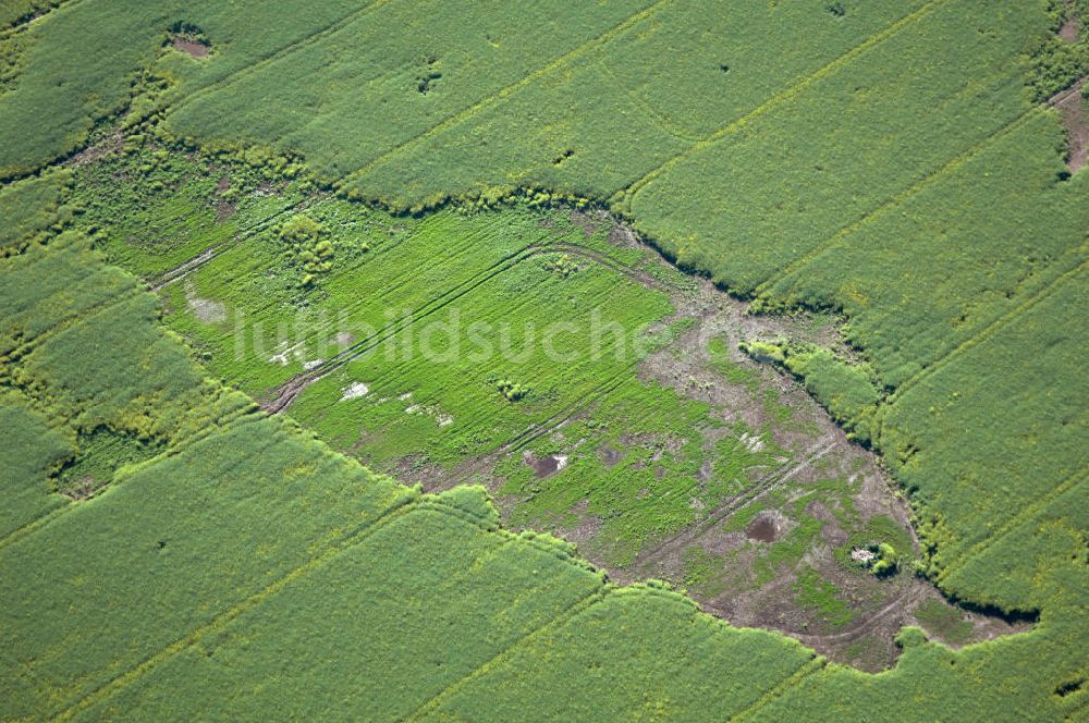 Coswig ( Anhalt ) OT Düben von oben - Bodenerosion auf Feldlandschaft in Düben in Sachsen-Anhalt