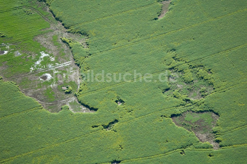 Coswig ( Anhalt ) OT Düben aus der Vogelperspektive: Bodenerosion auf Feldlandschaft in Düben in Sachsen-Anhalt