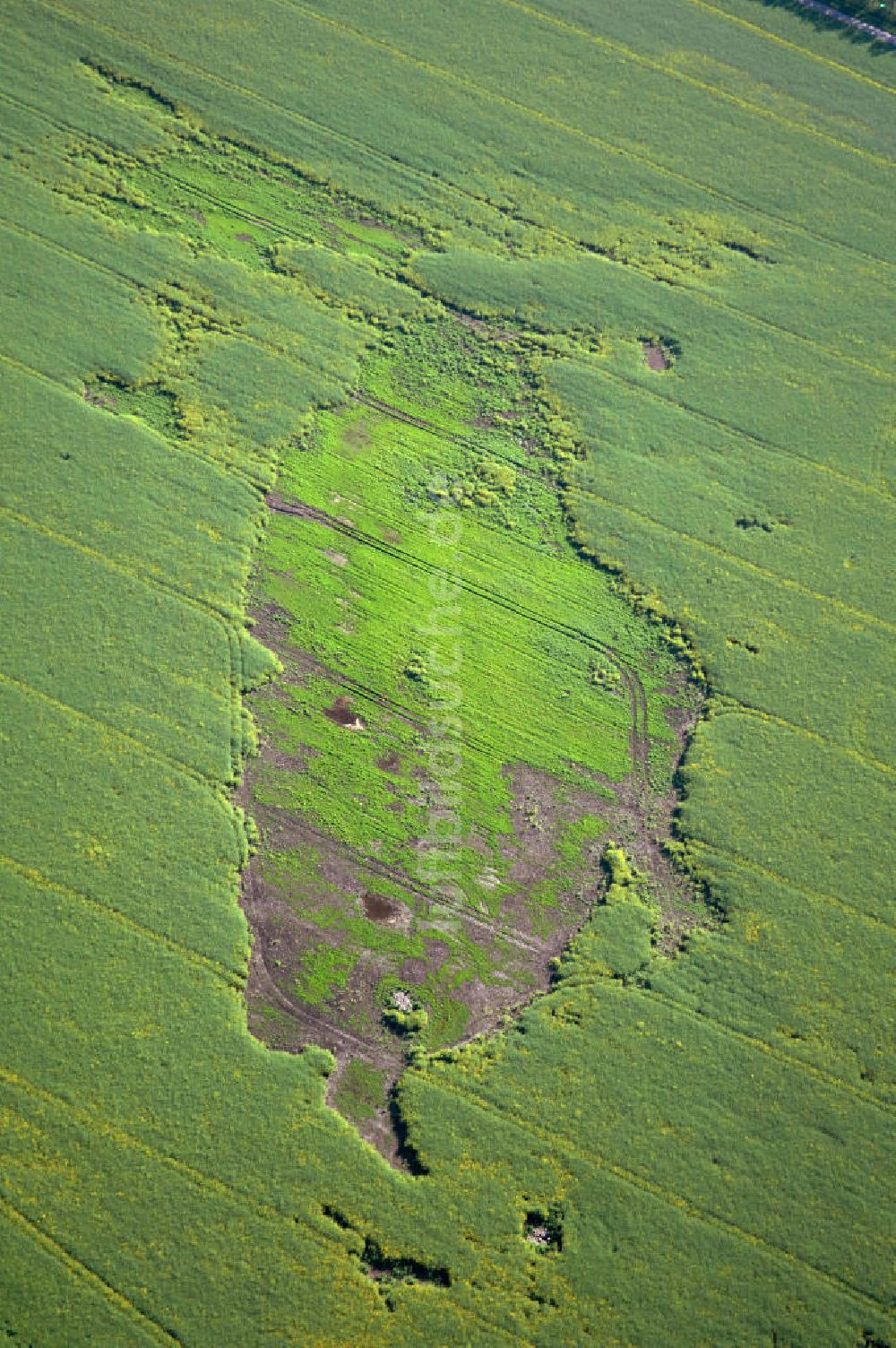 Luftbild Coswig ( Anhalt ) OT Düben - Bodenerosion auf Feldlandschaft in Düben in Sachsen-Anhalt