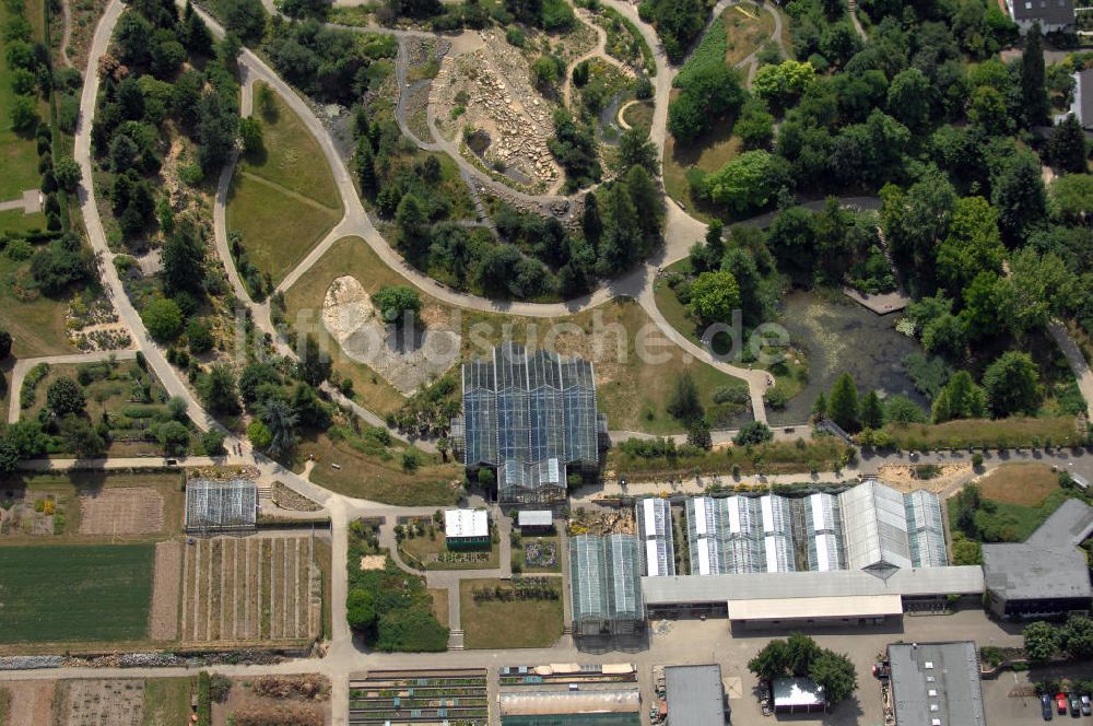 Osnabrück von oben - Botanischer Garten in Osnabrück