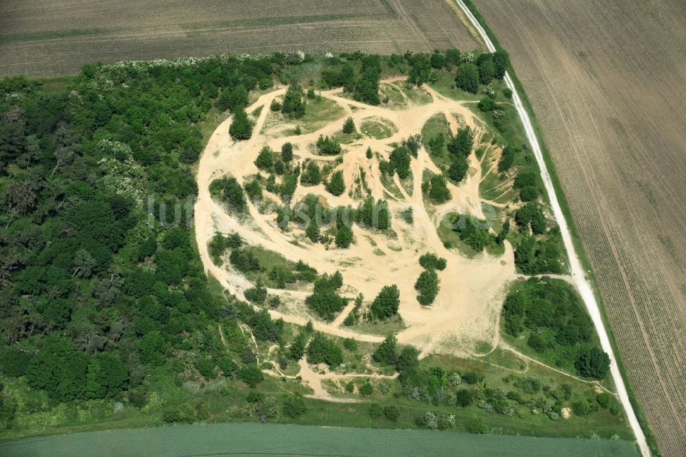 Bördeland von oben - Brache in Bördeland im Bundesland Sachsen-Anhalt