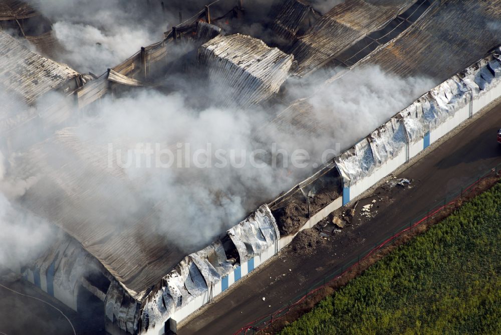 Schneidenbach von oben - Brandeinwirkung auf die Lagerhalle der Glitzner Entsorgung GmbH in Schneidenbach im Bundesland Sachsen, Deutschland