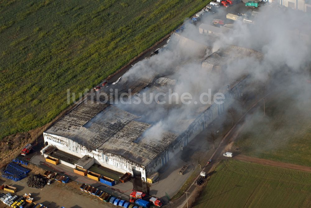 Luftaufnahme Schneidenbach - Brandeinwirkung auf die Lagerhalle der Glitzner Entsorgung GmbH in Schneidenbach im Bundesland Sachsen, Deutschland