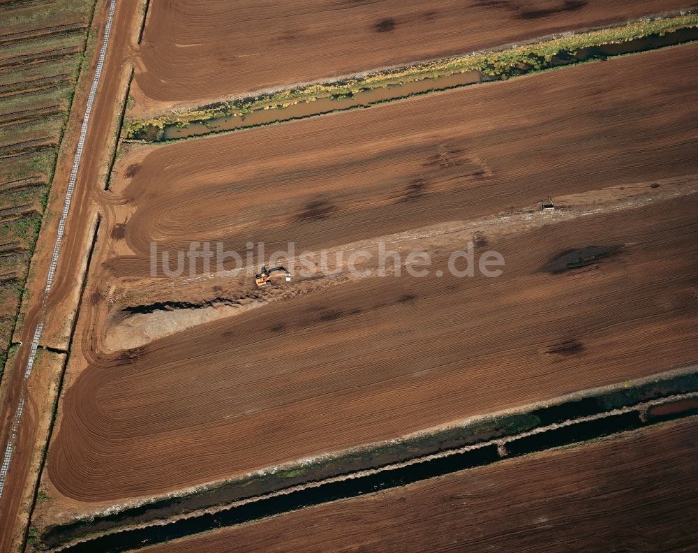 Breitenburg von oben - Breitenburger Moor in Breitenburg im Bundesland Schleswig-Holstein