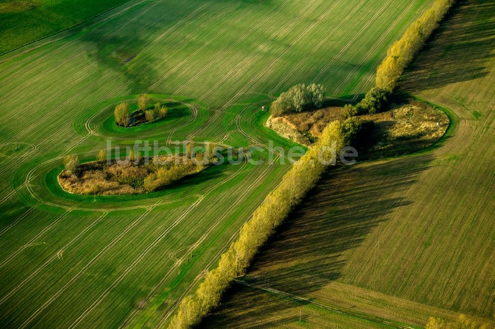 Luftaufnahme Dargun OT Zarnekow - Büsche im Feld bei Zarnekow in Dargun im Bundesland Mecklenburg-Vorpommern