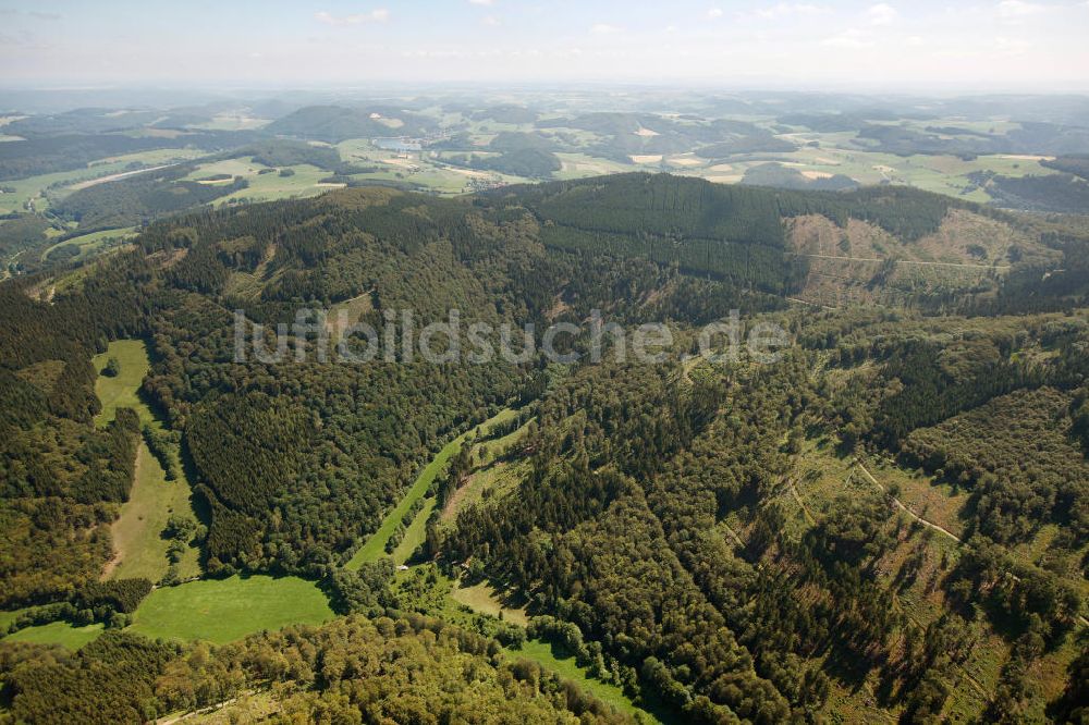 Luftaufnahme Diemelsee - Buchenwälder am Nationalpark Diemelsee, einem Weltnaturerbegebiet der UNESCO