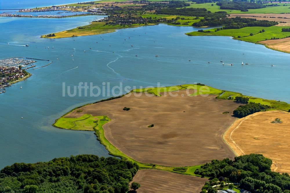 Maasholm von oben - Bucht Schlei mit Segelschiffen in Fahrt entlang der Meeres- Küste der Ostsee in Maasholm im Bundesland Schleswig-Holstein, Deutschland