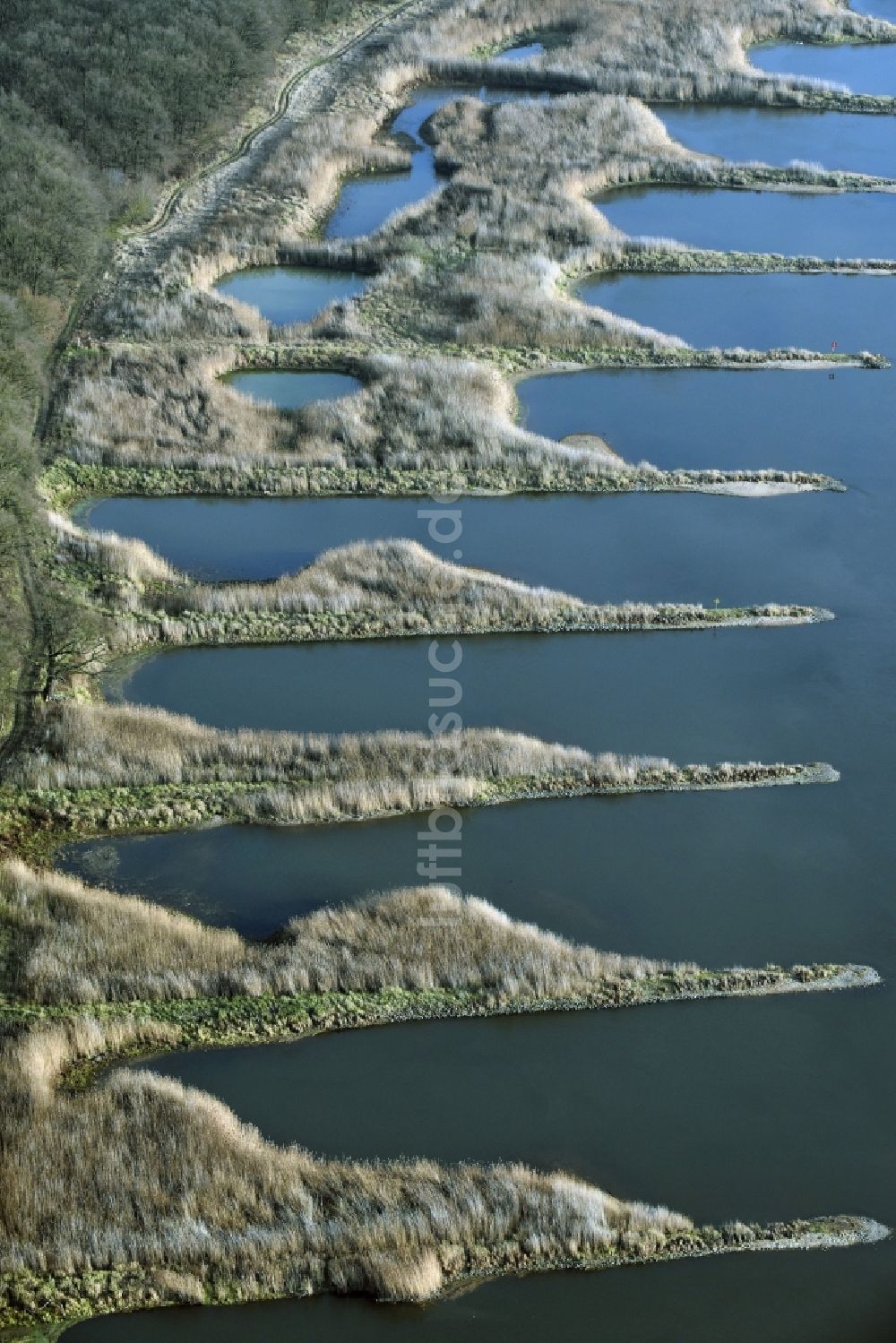 Frankfurt (Oder) aus der Vogelperspektive: Buhnen- Landschaft an den Uferbereichen des Oder Flussverlaufes in Frankfurt (Oder) im Bundesland Brandenburg