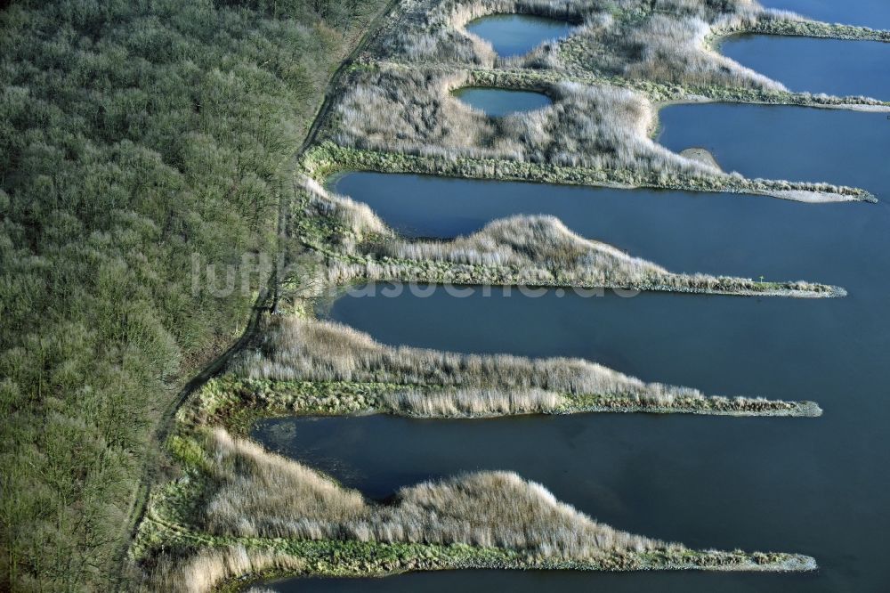 Luftaufnahme Frankfurt (Oder) - Buhnen- Landschaft an den Uferbereichen des Oder Flussverlaufes in Frankfurt (Oder) im Bundesland Brandenburg