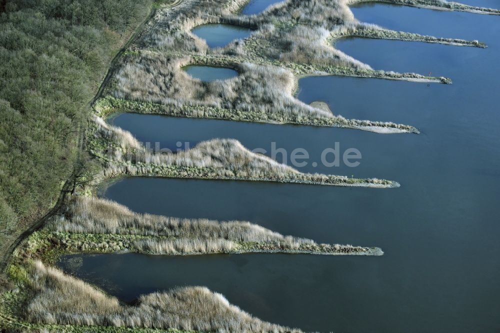 Frankfurt (Oder) von oben - Buhnen- Landschaft an den Uferbereichen des Oder Flussverlaufes in Frankfurt (Oder) im Bundesland Brandenburg