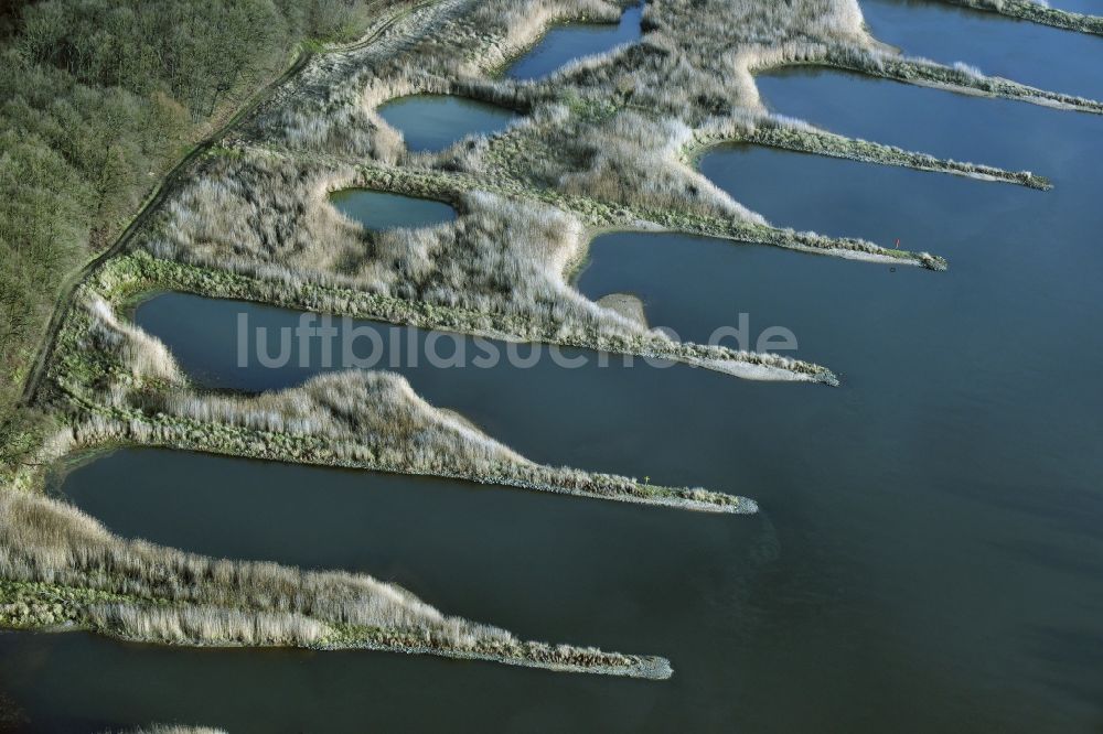 Frankfurt (Oder) aus der Vogelperspektive: Buhnen- Landschaft an den Uferbereichen des Oder Flussverlaufes in Frankfurt (Oder) im Bundesland Brandenburg