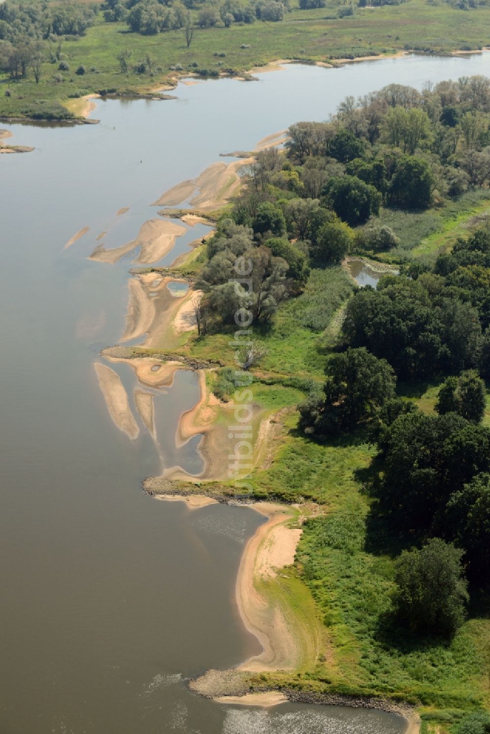 Swiecko von oben - Buhnen- Landschaft an den Uferbereichen des Oder Flussverlaufes in Swiecko in Polen