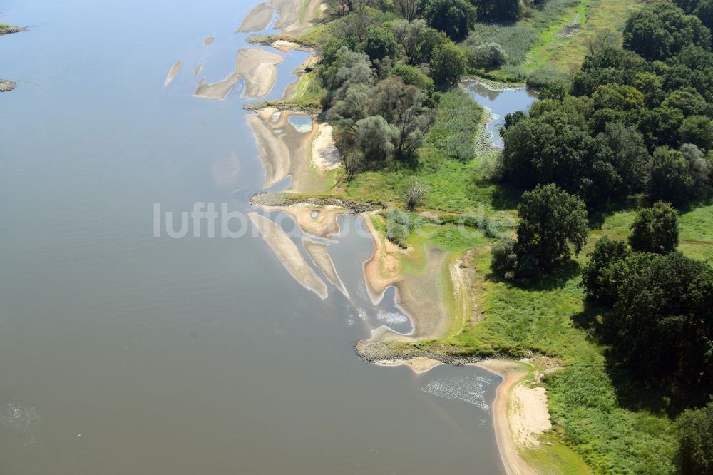 Luftbild Swiecko - Buhnen- Landschaft an den Uferbereichen des Oder Flussverlaufes in Swiecko in Polen