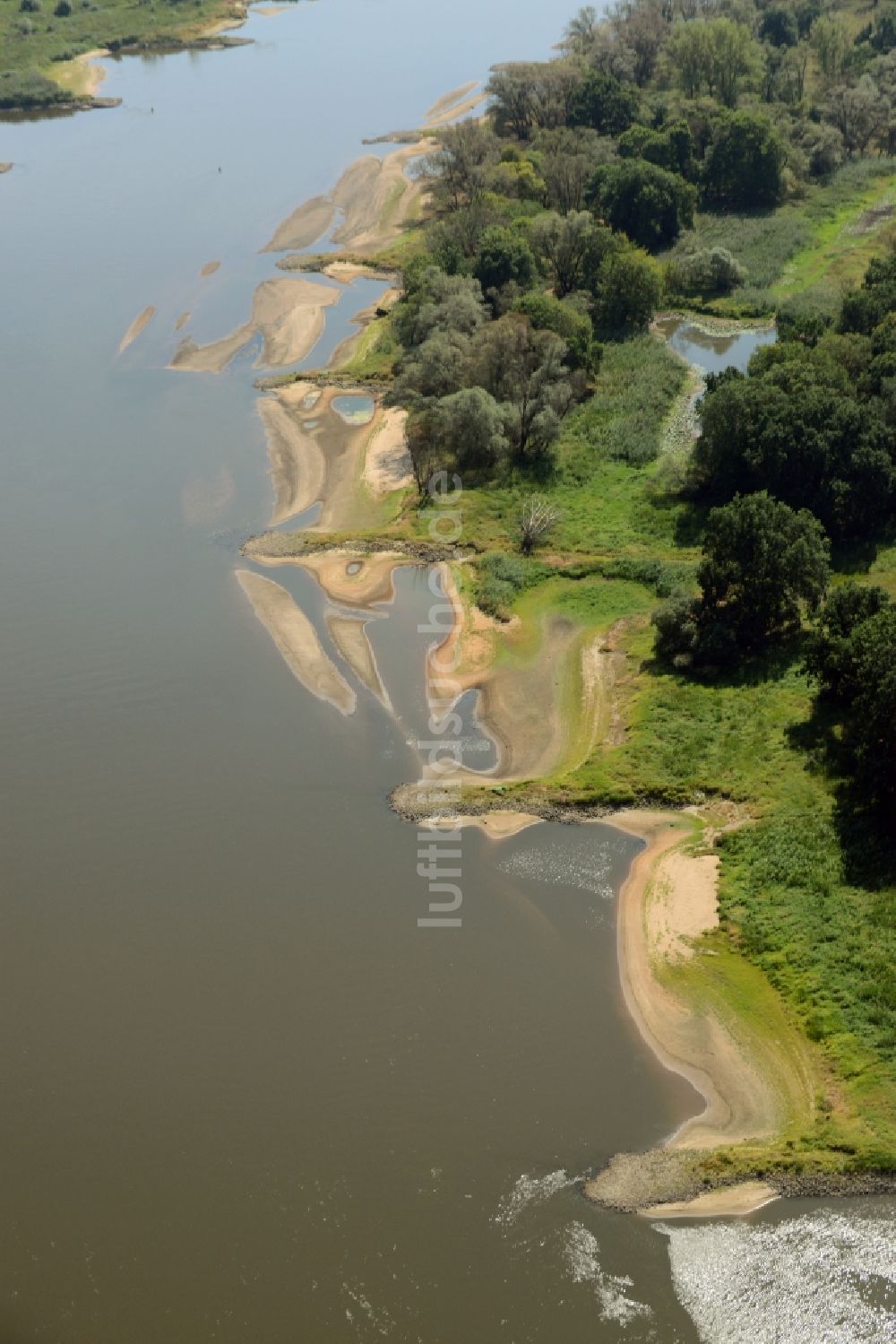 Luftaufnahme Swiecko - Buhnen- Landschaft an den Uferbereichen des Oder Flussverlaufes in Swiecko in Polen