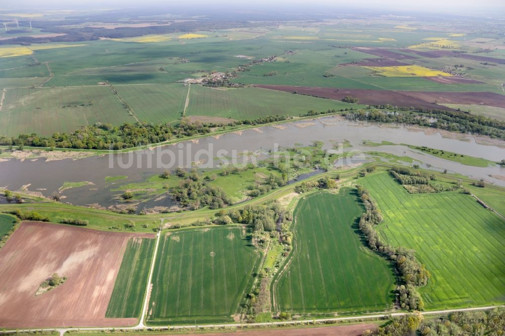 Luftaufnahme Lebus - Buhnen- Landschaft an den Uferbereichen der Oder in Lebus im Bundesland Brandenburg