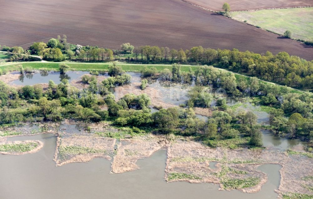 Luftaufnahme Lebus - Buhnen- Landschaft an den Uferbereichen der Oder in Lebus im Bundesland Brandenburg