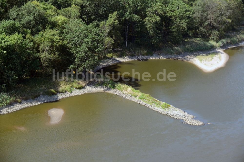 Frankfurt (Oder) von oben - Buhnen- Landschaft an den Uferbereichen der Oder an den Oderwiesen Flussverlaufes in Frankfurt (Oder) im Bundesland Brandenburg