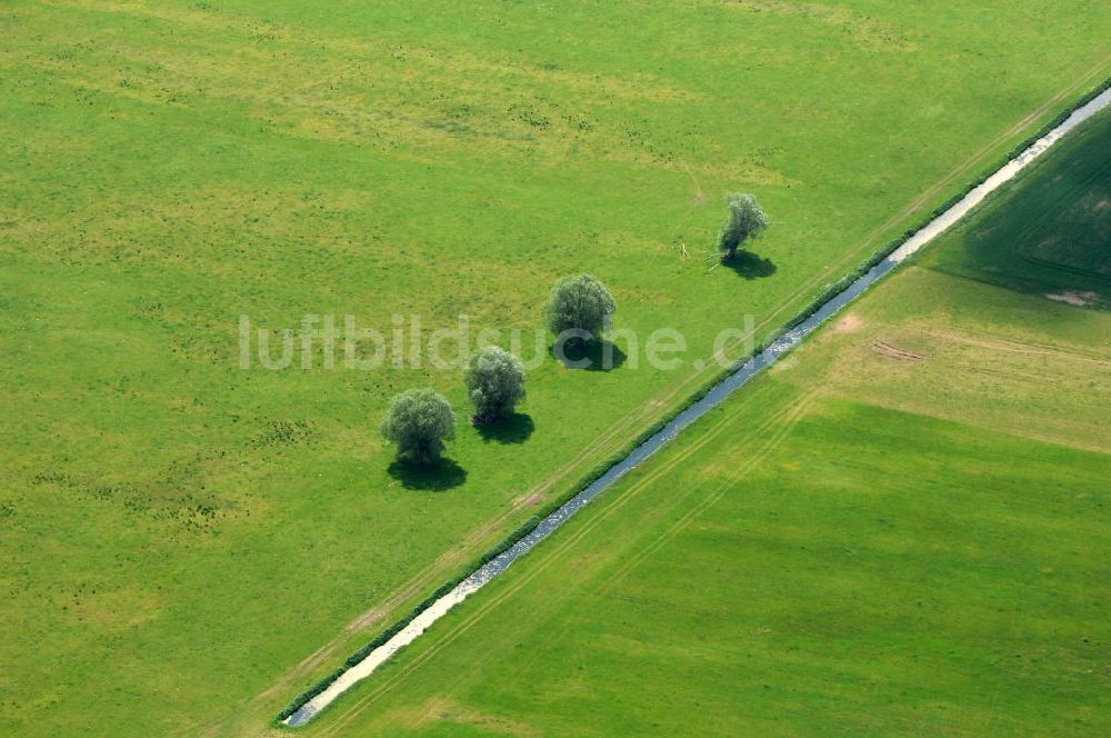 Luftaufnahme Wittenberge - Bäume an der Karthane in Brandenburg