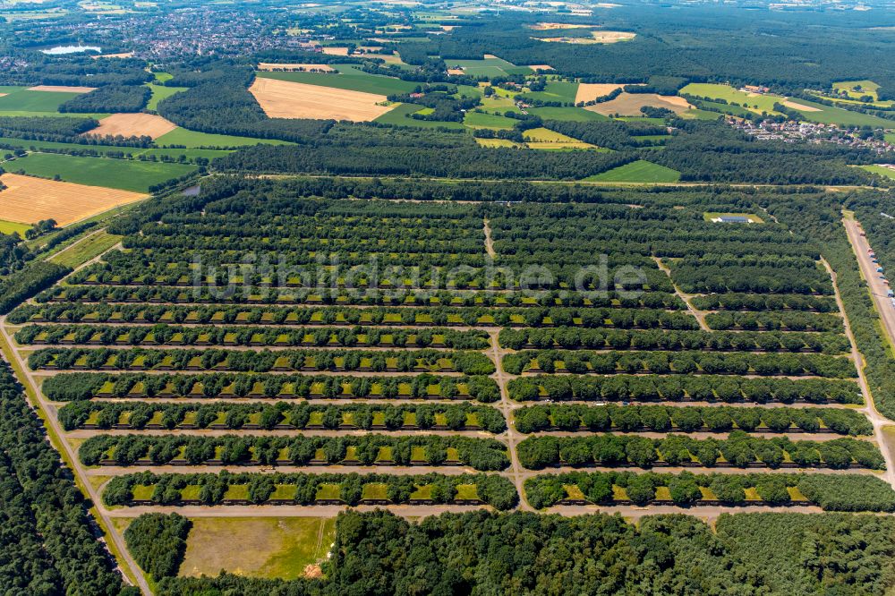 Luftaufnahme Dorsten - Bunker- Gebäudekomplex und Munitionsdepot in Dorsten im Bundesland Nordrhein-Westfalen, Deutschland