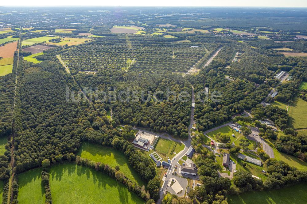 Wulfen von oben - Bunker- Gebäudekomplex und Munitionsdepot auf dem militärischen Übungsgelände in Wulfen im Bundesland Nordrhein-Westfalen, Deutschland