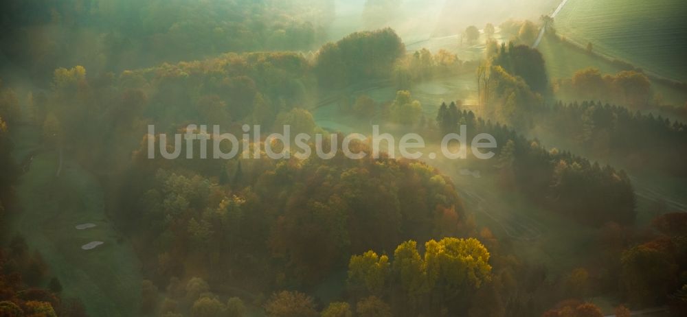 Kettwig aus der Vogelperspektive: Bunt gefärbte Blätter an einer Baumgruppe in einem herbstlichen Feld im Nebel bei Kettwig im Bundesland Nordrhein-Westfalen