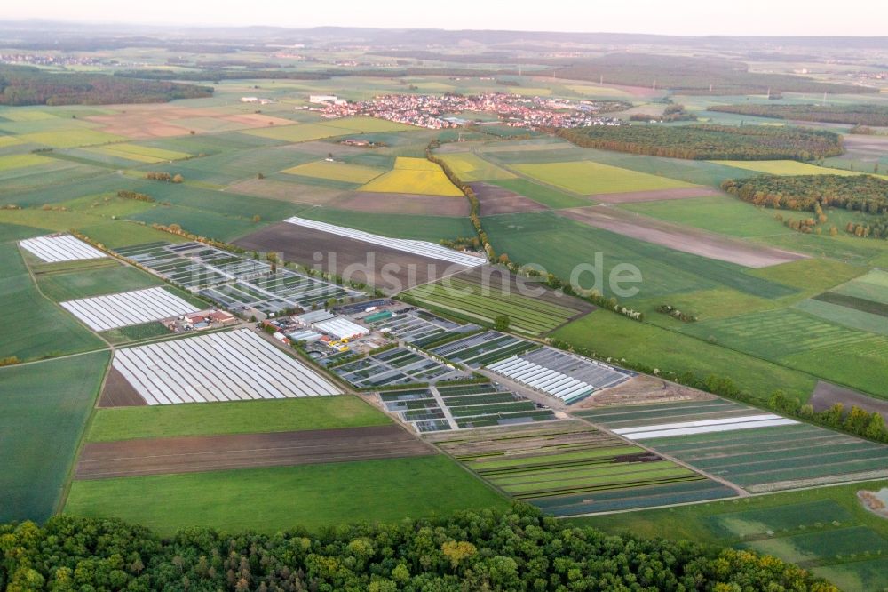 Luftaufnahme Gochsheim - Bunte Beet- Reihen auf einem Feld zur Blumenzucht der Gärtnerei Dieter Denzer in Gochsheim im Bundesland Bayern, Deutschland