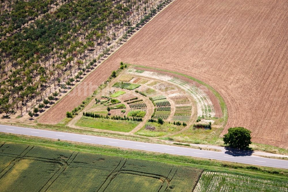 Luftbild Kleinfischlingen - Bunte Beet- Reihen auf einem Feld zur Gemüse- und Blumenzucht in Kleinfischlingen im Bundesland Rheinland-Pfalz, Deutschland