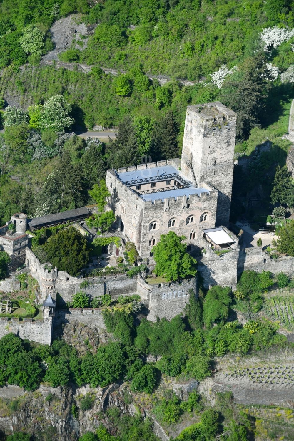 Luftbild Kaub - Burg Burg Gutenfels am Schlossweg in Kaub im Bundesland Rheinland-Pfalz, Deutschland