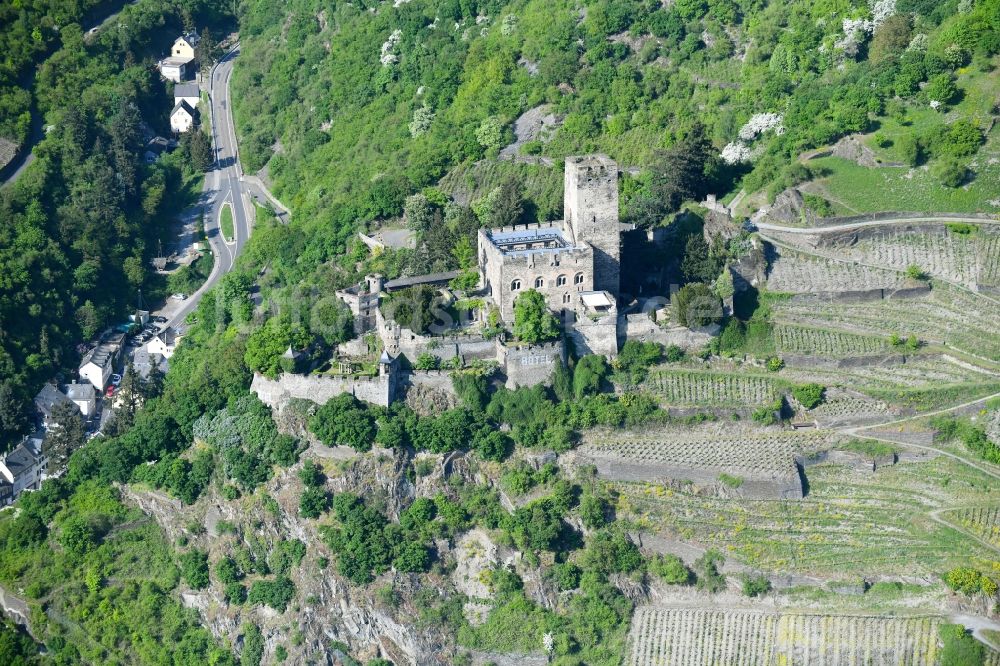 Kaub aus der Vogelperspektive: Burg Burg Gutenfels am Schlossweg in Kaub im Bundesland Rheinland-Pfalz, Deutschland