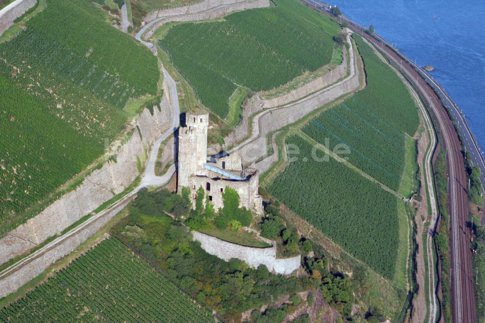 Luftaufnahme Rüdesheim - Burg Ehrenfels im Rheingau bei Rüdesheim