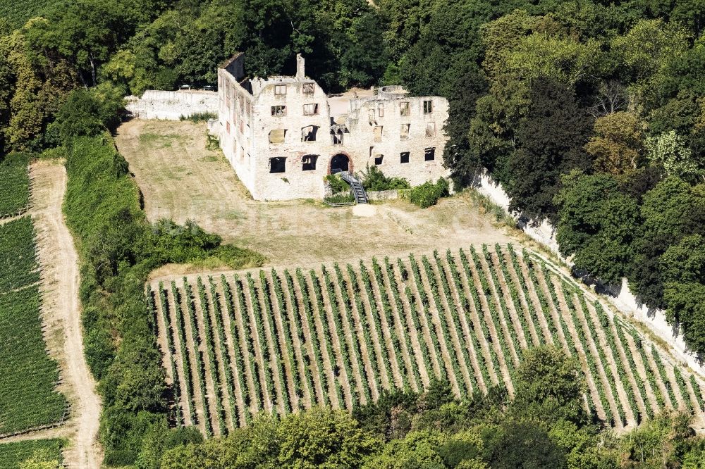 Oppenheim aus der Vogelperspektive: Burg Landskron in Oppenheim im Bundesland Rheinland-Pfalz, Deutschland