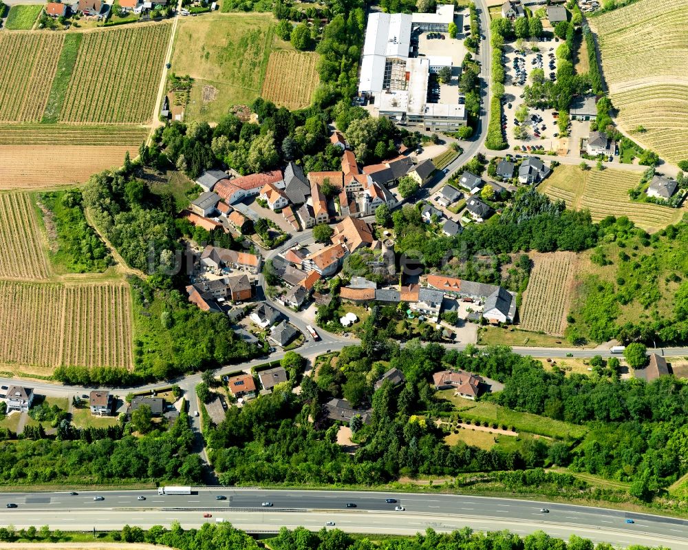 Luftbild Rümmelsheim - Burg Layen in Rümmelsheim im Bundesland Rheinland-Pfalz