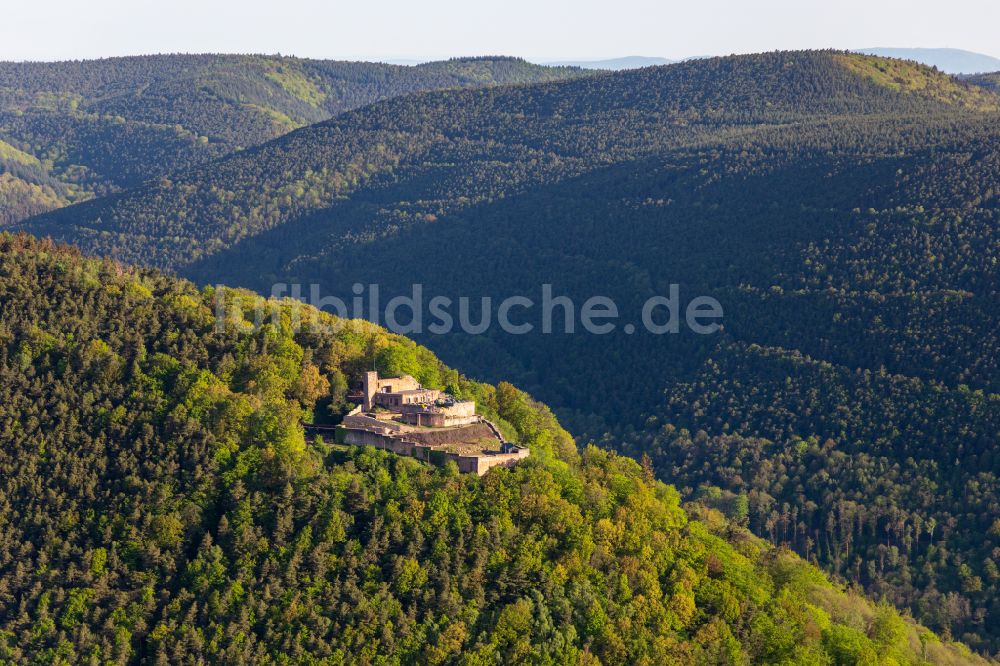 Luftaufnahme Rhodt unter Rietburg - Burg Rietburg in Rhodt unter Rietburg im Bundesland Rheinland-Pfalz, Deutschland