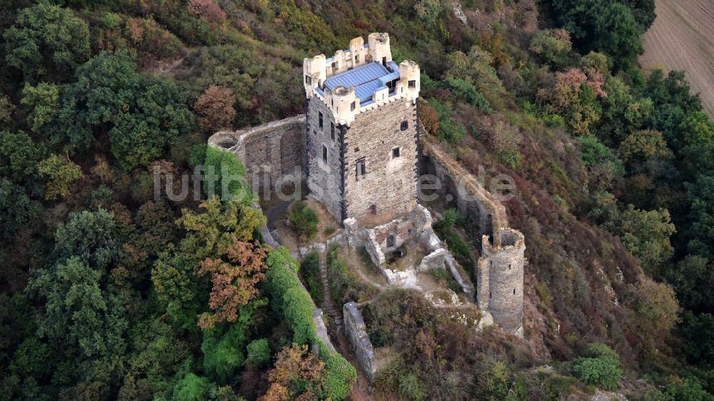 Luftbild Ochtendung - Burg Wernerseck in Ochtendung im Bundesland Rheinland-Pfalz, Deutschland