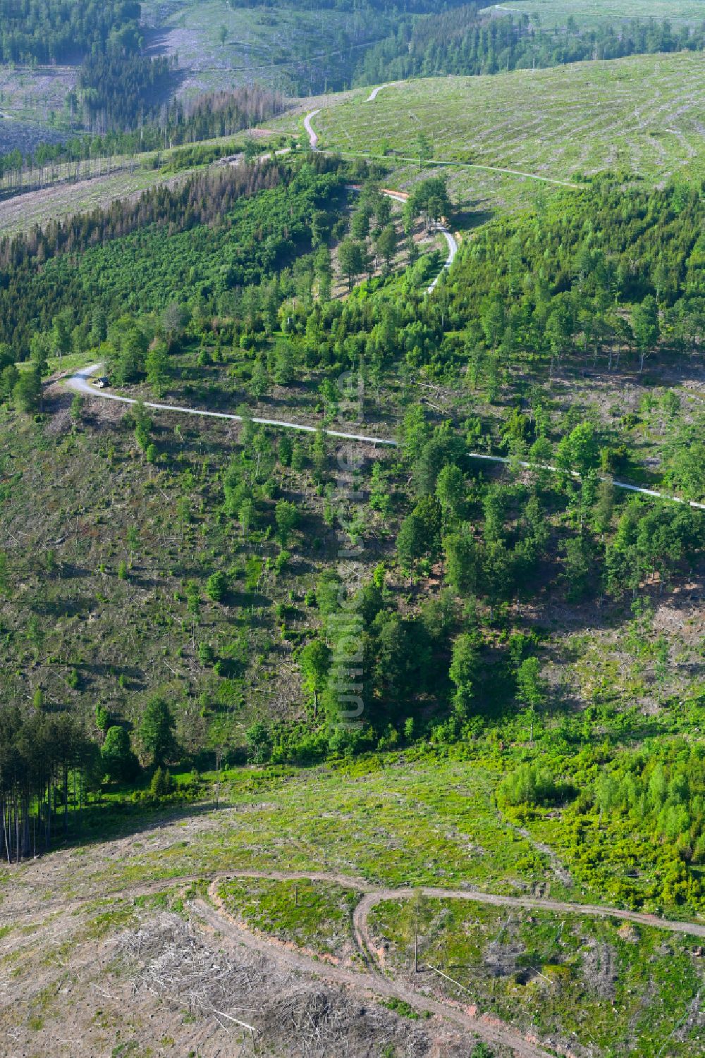 Luftaufnahme Oberland am Rennsteig - Burganlage in Oberland am Rennsteig im Bundesland Thüringen, Deutschland