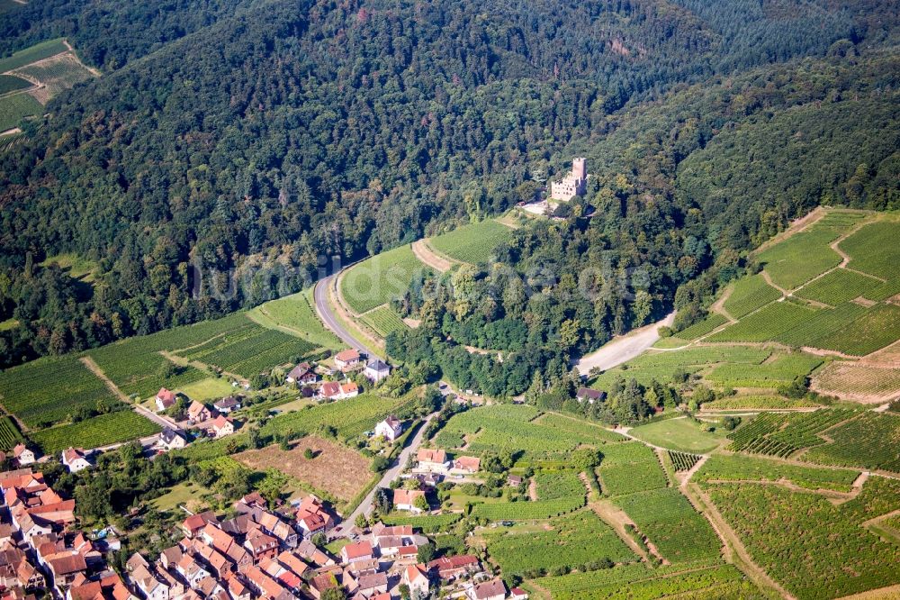 Luftaufnahme Kintzheim - Burganlage des Schloss Château de Kintzheim in Kintzheim in Grand Est, Frankreich