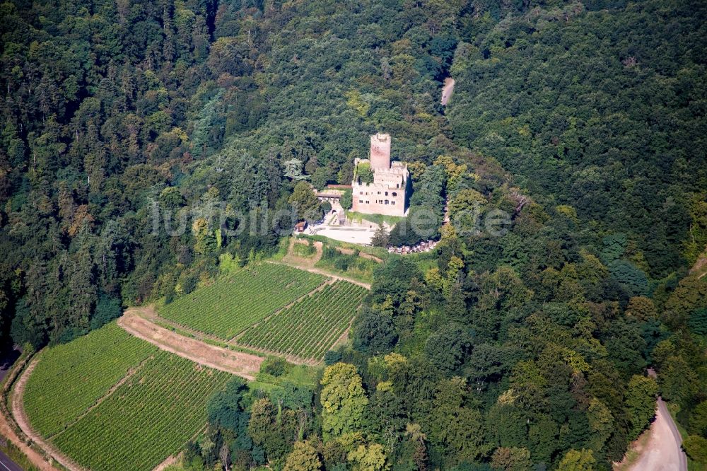 Luftaufnahme Kintzheim - Burganlage des Schloss Château de Kintzheim in Kintzheim in Grand Est, Frankreich