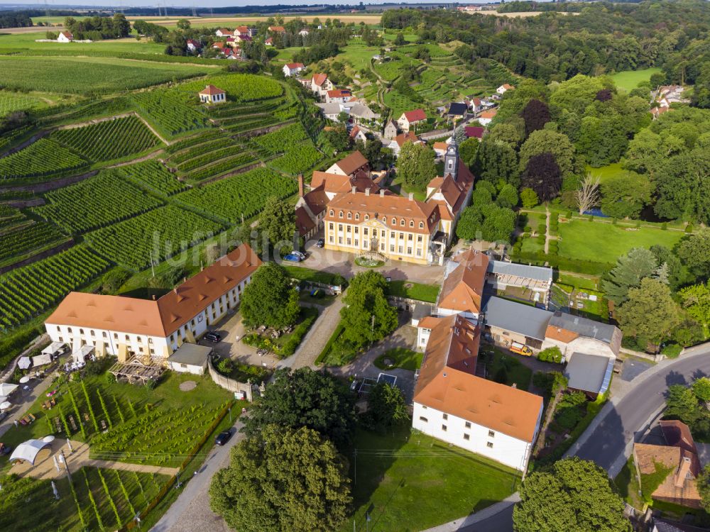 Luftaufnahme Seusslitz - Burganlage des Schloss Seusslitz in Seusslitz im Bundesland Sachsen, Deutschland